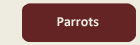 button_klein_parrots_aktiv
